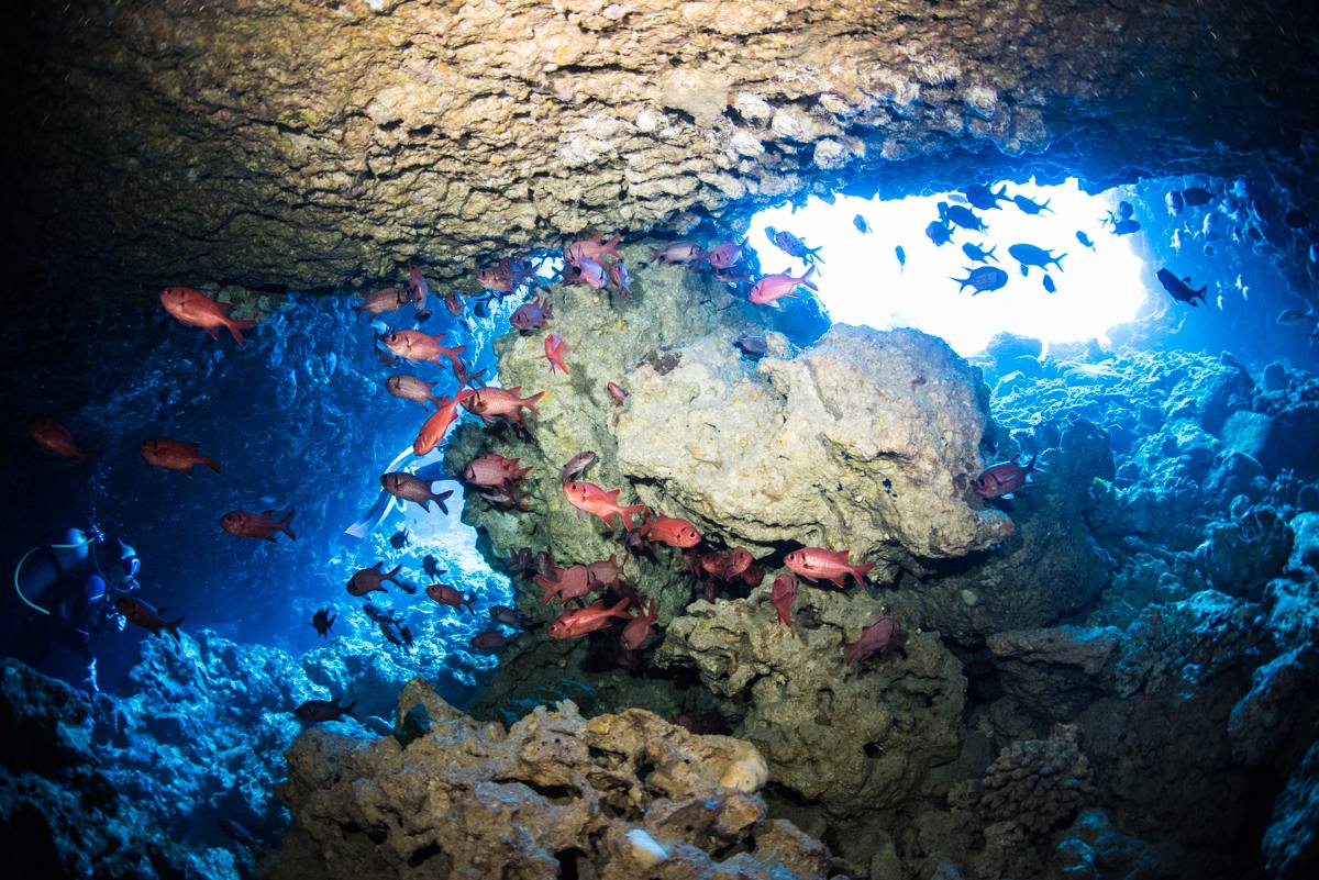 沖縄ダイビングと言ったら恩納村の青の洞窟